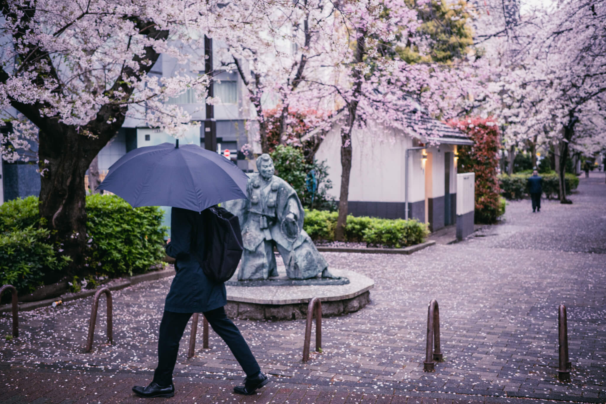 Tokyo Sakura